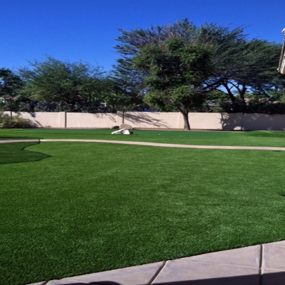 Turf Grass Pisinemo, Arizona Design Ideas, Front Yard Landscaping Ideas