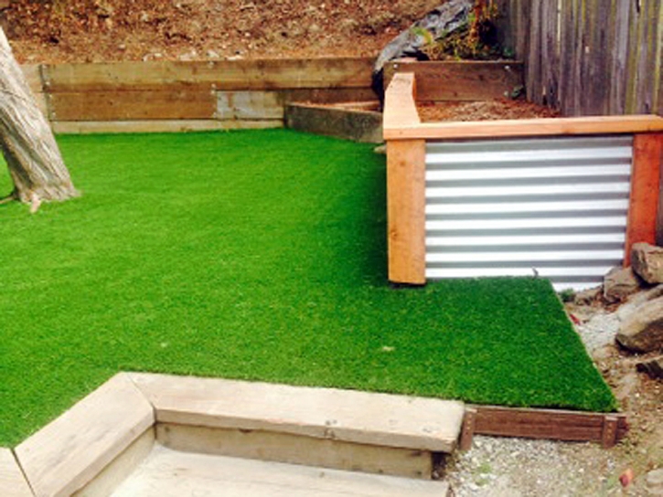 Artificial Grass Ak-Chin Village, Arizona Home And Garden, Backyard