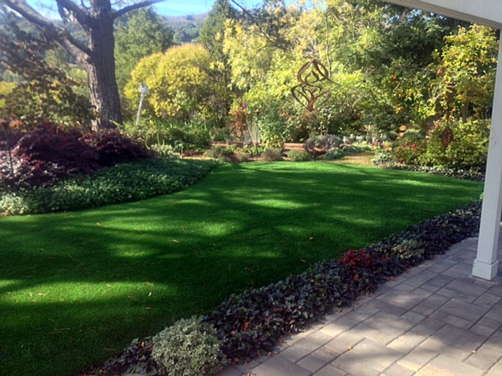 Artificial Grass Cactus Flat, Arizona Lawns, Beautiful Backyards