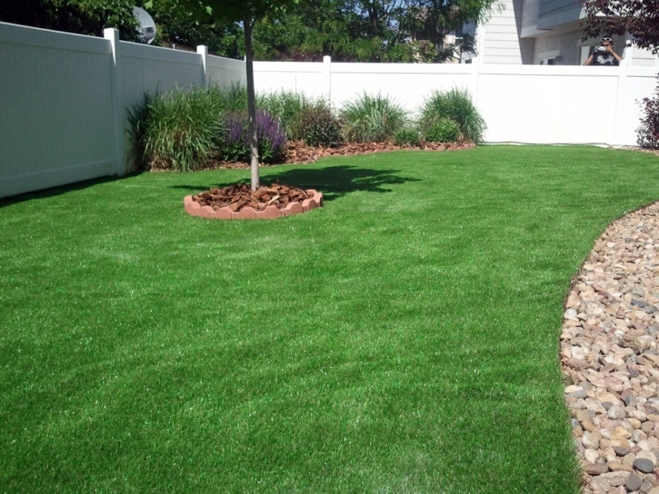 Artificial Grass Carpet El Mirage, Arizona Landscaping Business, Backyards