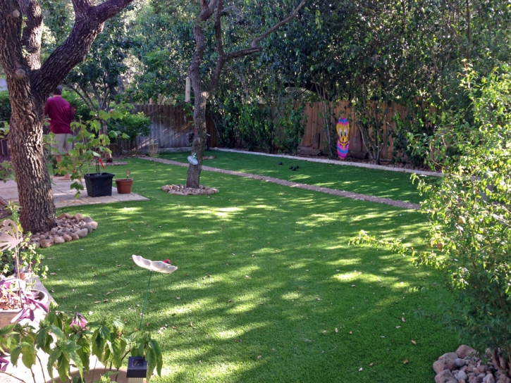 Artificial Grass Carpet Hotevilla-Bacavi, Arizona Roof Top, Backyard Design