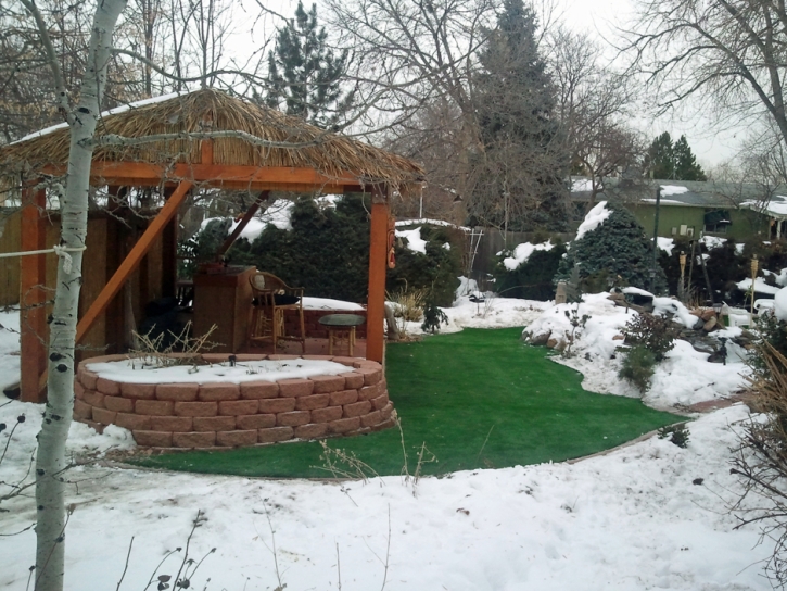 Artificial Grass Carpet Lake Havasu City, Arizona Lawns, Cold Weather