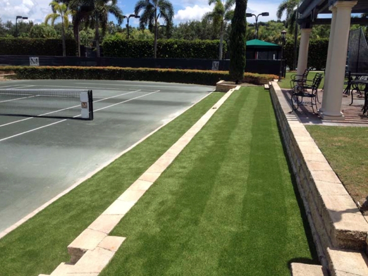 Artificial Grass Carpet Mesa, Arizona Backyard Playground, Commercial Landscape