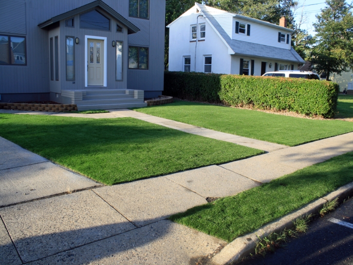 Artificial Grass Carpet Peach Springs, Arizona Garden Ideas, Front Yard