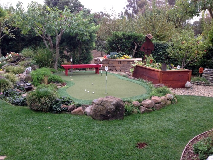 Artificial Grass Carpet Pinedale, Arizona Lawns, Backyards