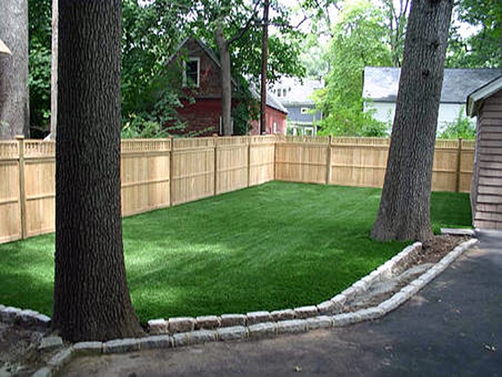 Artificial Grass Carpet Scottsdale, Arizona Lawns, Backyards