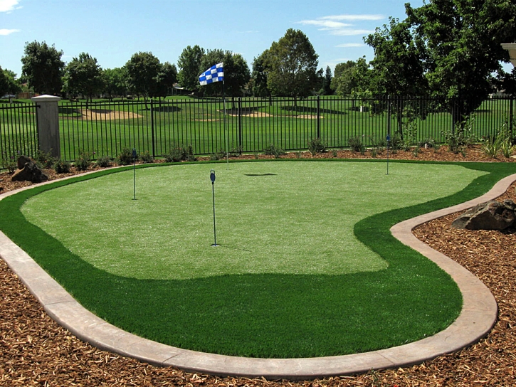 Artificial Grass Carpet Tolleson, Arizona Landscape Design, Backyard Landscape Ideas