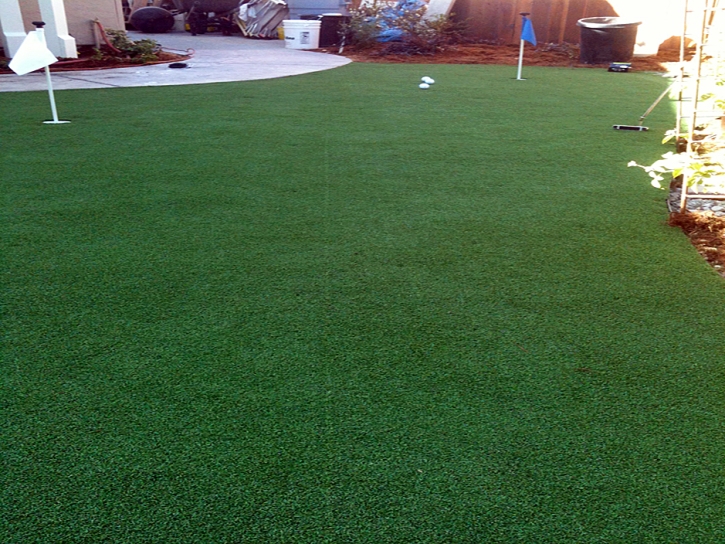 Artificial Grass Carpet West Winslow, Arizona Design Ideas, Backyards