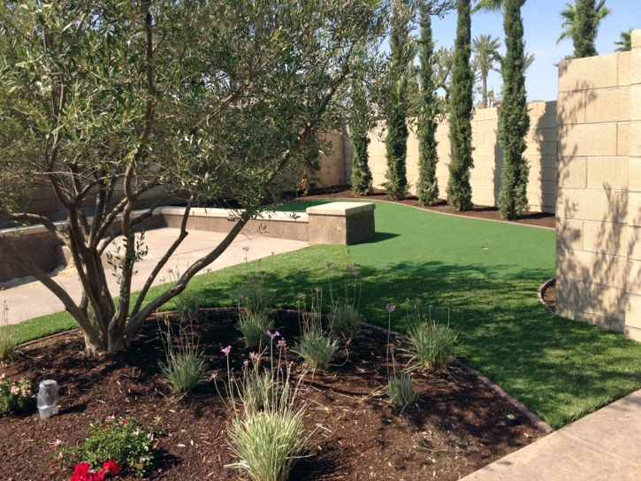 Artificial Grass Carpet Wilhoit, Arizona Garden Ideas, Backyard Landscaping Ideas