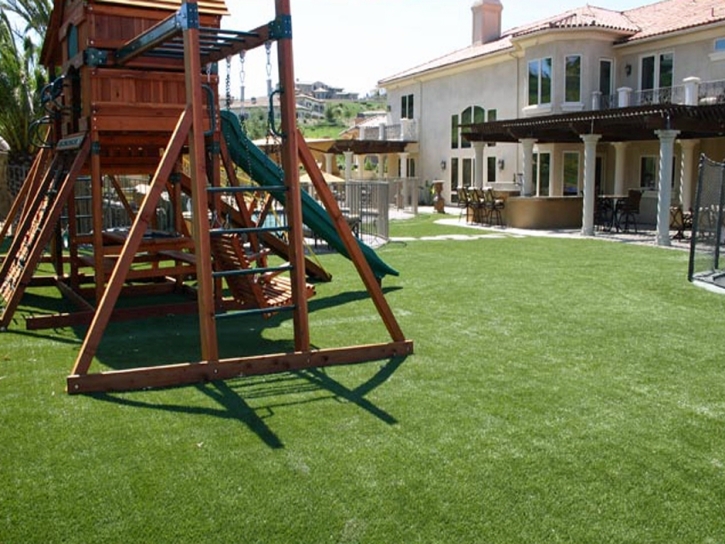 Artificial Grass Congress, Arizona Backyard Playground, Backyards
