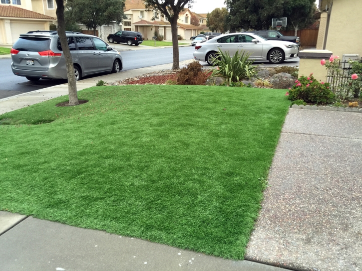 Artificial Grass Installation Chloride, Arizona Garden Ideas, Front Yard Ideas