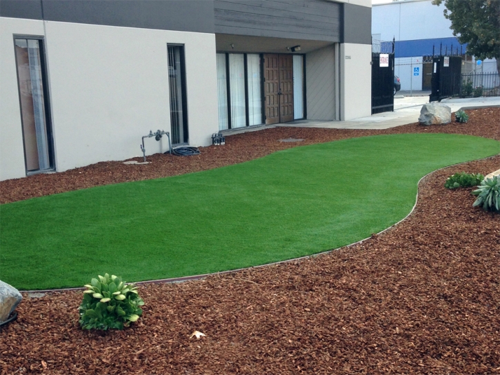 Artificial Grass Installation McNeal, Arizona Backyard Playground, Commercial Landscape