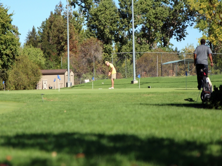 Artificial Grass Installation Star Valley, Arizona Putting Green Flags, Commercial Landscape