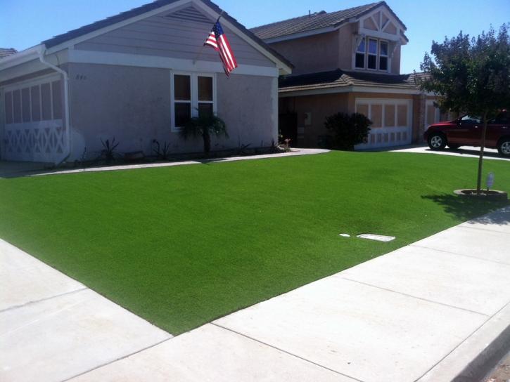 Artificial Grass Pinedale, Arizona Landscape Photos, Front Yard