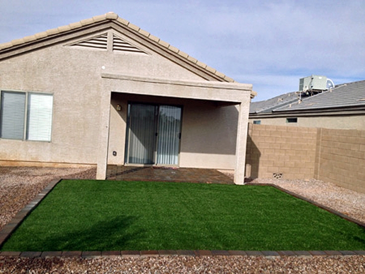 Artificial Grass Tolleson, Arizona Dog Parks, Backyard Garden Ideas