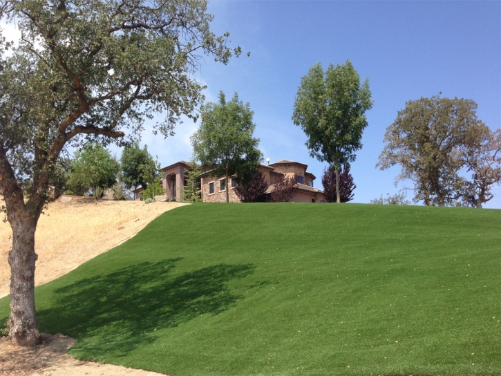 Artificial Grass Village of Oak Creek (Big Park), Arizona Rooftop, Front Yard Landscaping Ideas