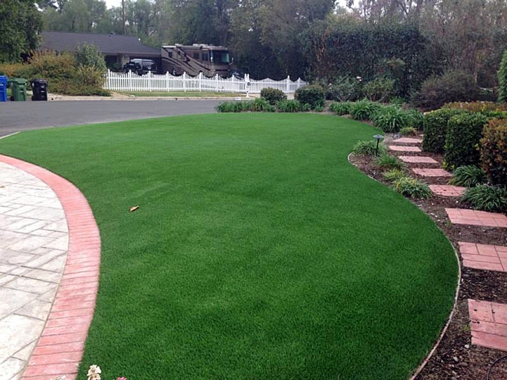 Artificial Grass Woodruff, Arizona Landscape Ideas, Front Yard Landscape Ideas