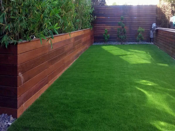 Artificial Lawn Beyerville, Arizona Landscaping Business, Backyard Makeover