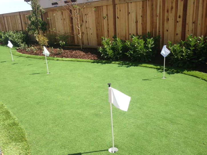 Artificial Lawn Cave Creek, Arizona Best Indoor Putting Green, Backyard Landscaping Ideas