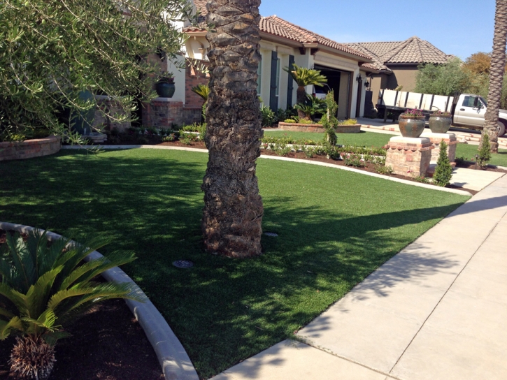 Artificial Lawn Christopher Creek, Arizona Gardeners, Front Yard Ideas