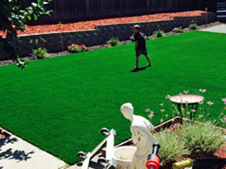 Artificial Lawn Guadalupe, Arizona Landscape Photos, Backyard Landscaping Ideas