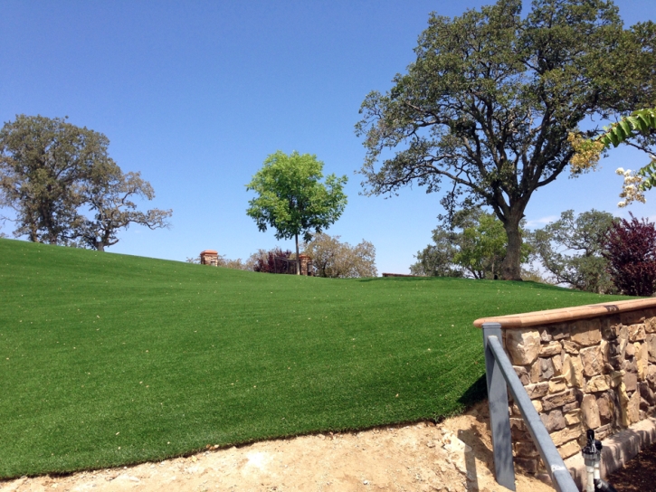 Artificial Lawn Heber-Overgaard, Arizona Backyard Playground, Front Yard Landscape Ideas