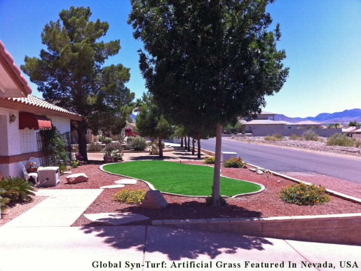 Artificial Lawn Mesa, Arizona Landscape Design, Front Yard Design