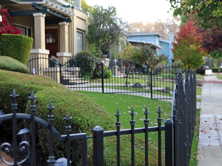 Artificial Lawn San Luis, Arizona Rooftop, Front Yard Ideas