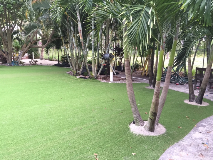 Artificial Lawn Summit, Arizona Landscaping Business, Commercial Landscape