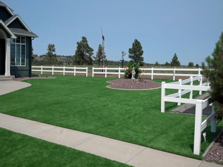 Artificial Lawn White Cone, Arizona Design Ideas, Beautiful Backyards