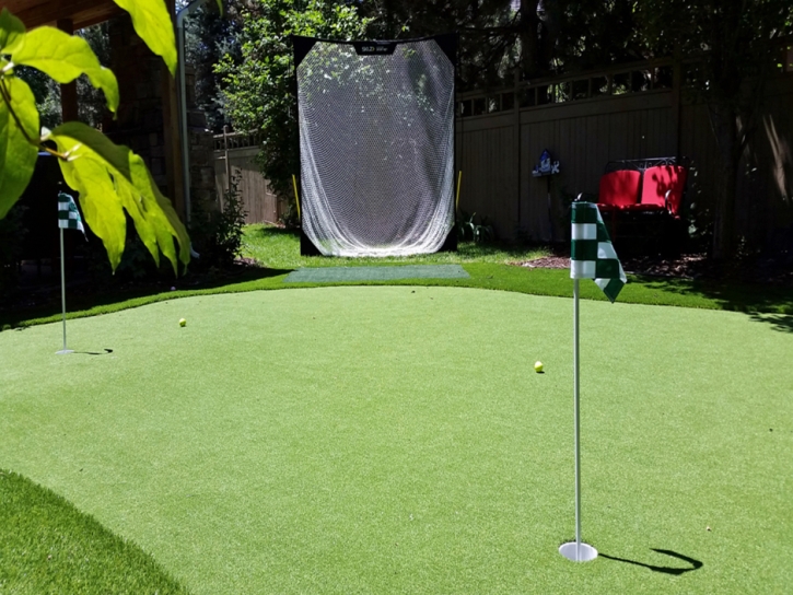 Artificial Turf Cedar Creek, Arizona City Landscape, Small Backyard Ideas