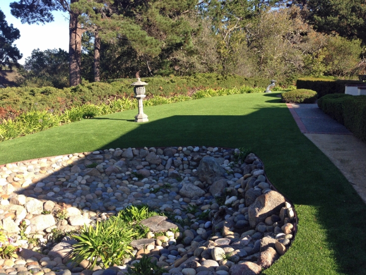 Artificial Turf Chino Valley, Arizona Dog Pound, Backyard Landscaping