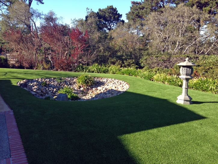 Artificial Turf Cost Carefree, Arizona Roof Top, Backyard Designs