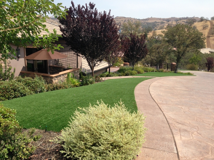 Artificial Turf Cost Corona de Tucson, Arizona Lawn And Garden, Front Yard Landscaping