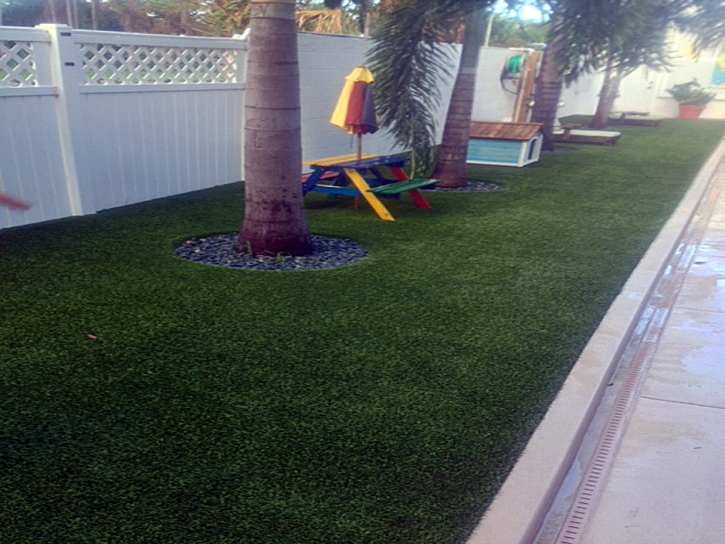 Artificial Turf Cost Dragoon, Arizona Rooftop, Backyard Design