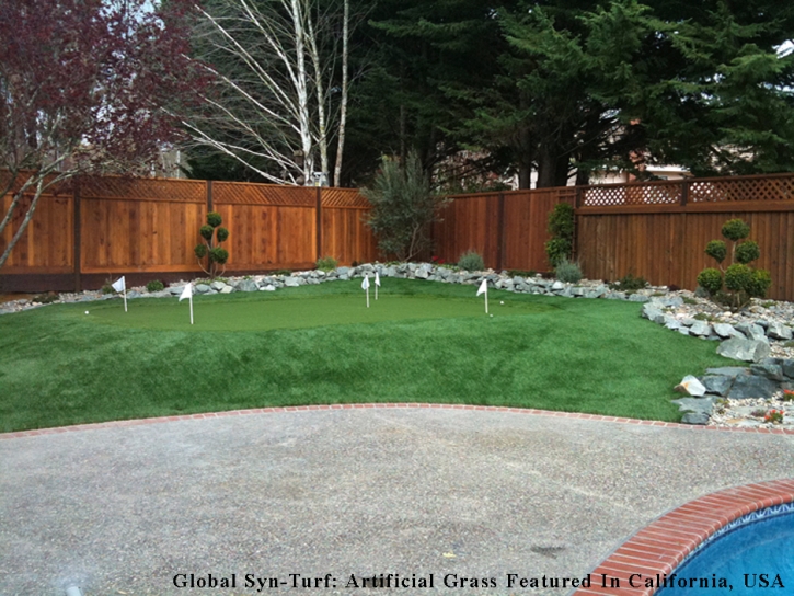 Artificial Turf Cost Sacaton, Arizona City Landscape, Backyard Design