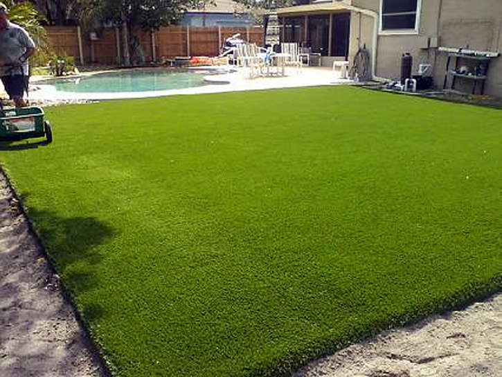 Artificial Turf Cost Tortolita, Arizona Design Ideas, Backyard