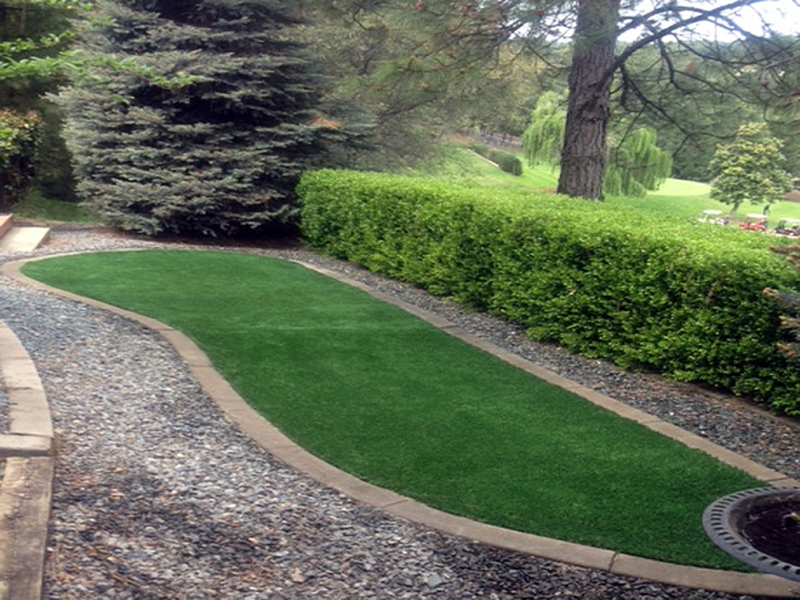 Artificial Turf Cost Williams, Arizona Design Ideas