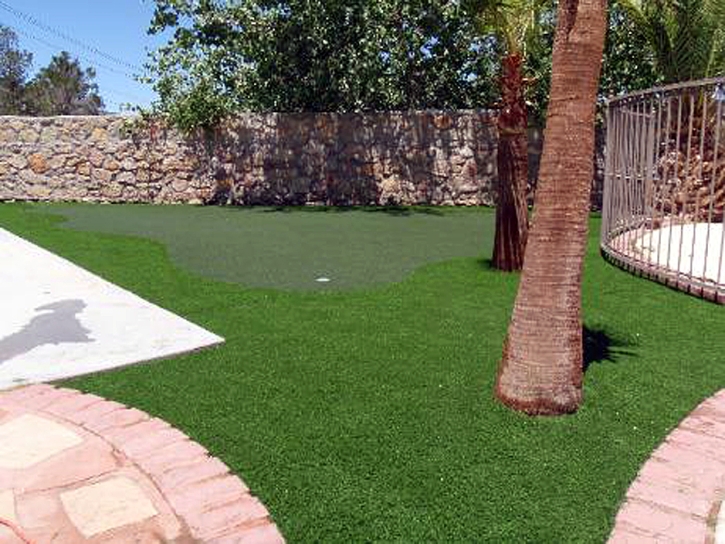 Artificial Turf Eloy, Arizona Golf Green, Small Backyard Ideas