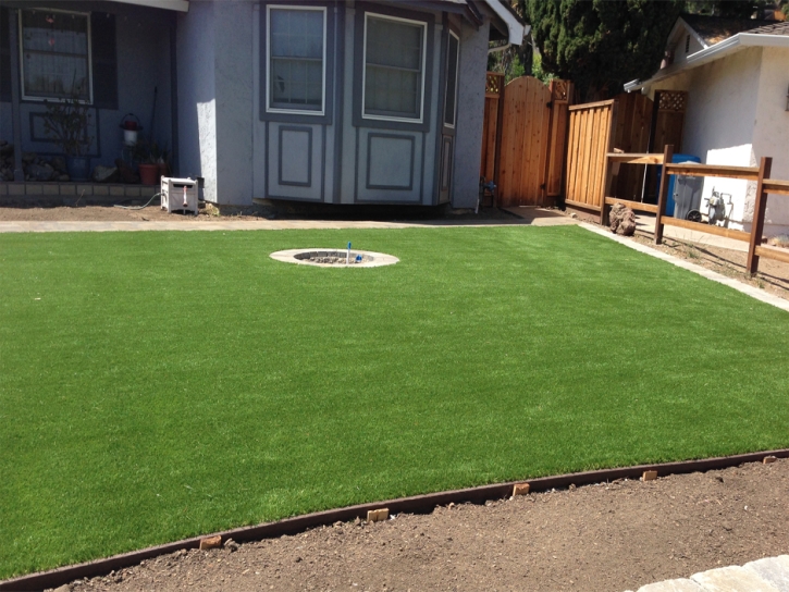 Artificial Turf Installation Bear Flat, Arizona Garden Ideas, Backyard