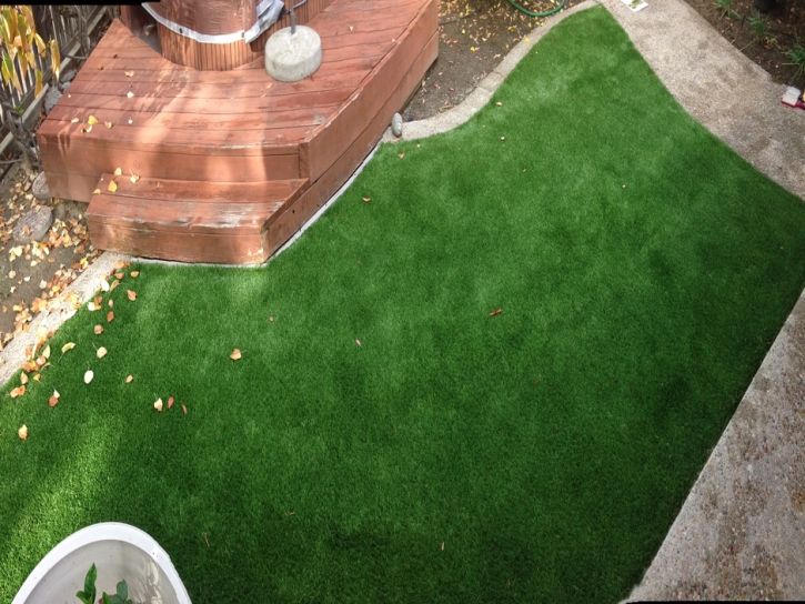 Artificial Turf Moenkopi, Arizona Garden Ideas, Backyard Design