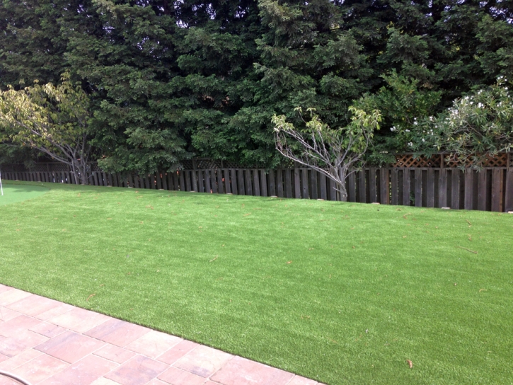 Artificial Turf Peeples Valley, Arizona City Landscape, Backyard Landscaping