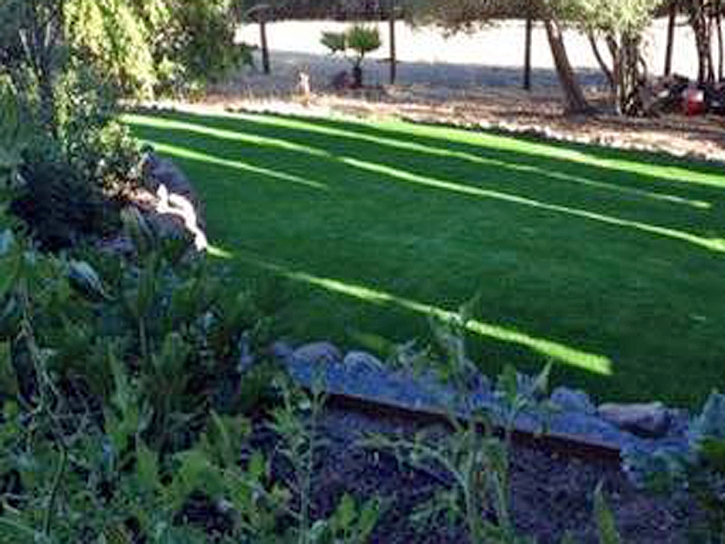 Artificial Turf Santa Cruz, Arizona Backyard Playground, Small Backyard Ideas