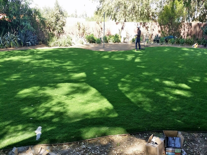 Artificial Turf Tonopah, Arizona Rooftop, Backyard Ideas