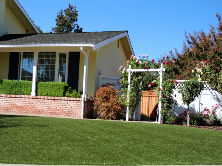 Best Artificial Grass Copper Hill, Arizona Paver Patio, Small Front Yard Landscaping