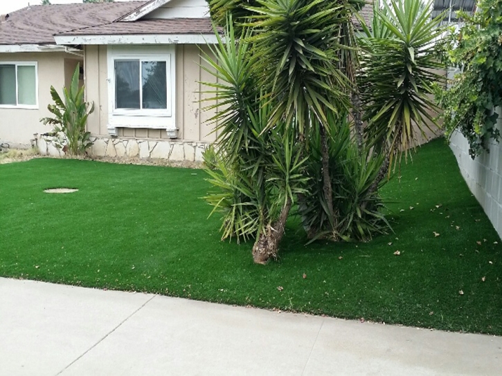 Best Artificial Grass Dudleyville, Arizona Rooftop, Small Front Yard Landscaping