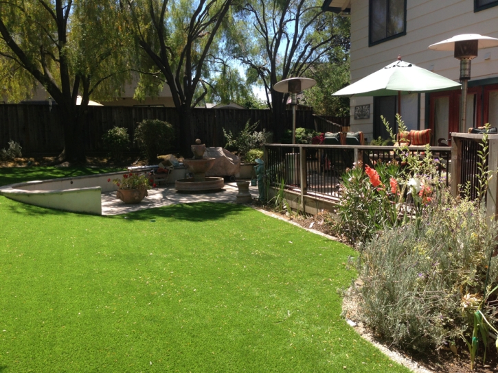 Best Artificial Grass Fort Apache, Arizona Backyard Playground, Backyard Landscaping Ideas