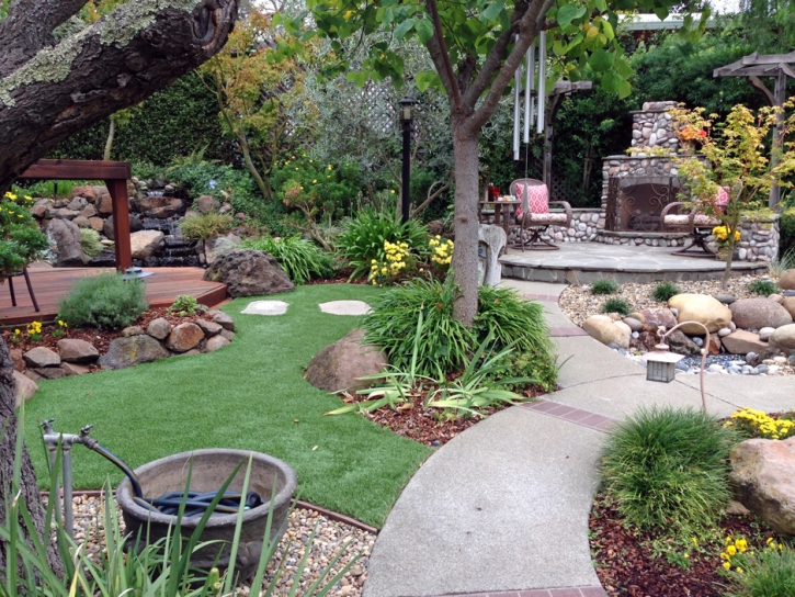 Best Artificial Grass Parker Strip, Arizona Gardeners, Backyard Landscaping