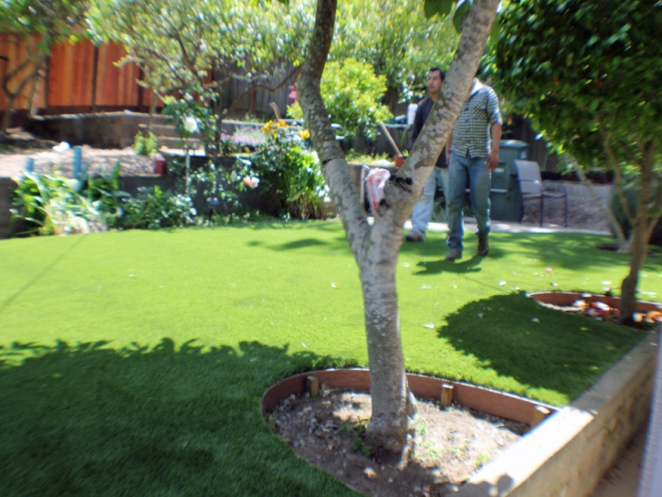 Best Artificial Grass Peeples Valley, Arizona Gardeners, Backyard Landscape Ideas