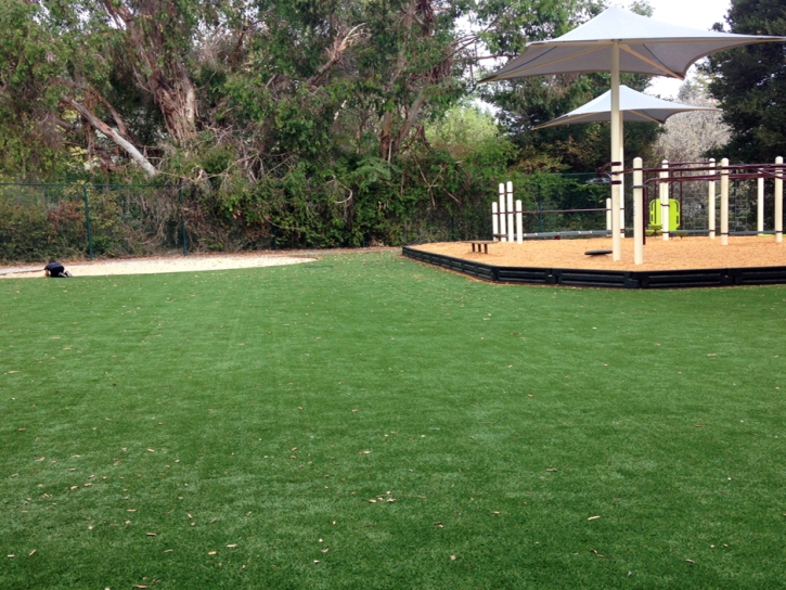 Best Artificial Grass Queen Creek, Arizona Playground